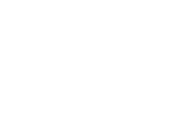 Miami Logo